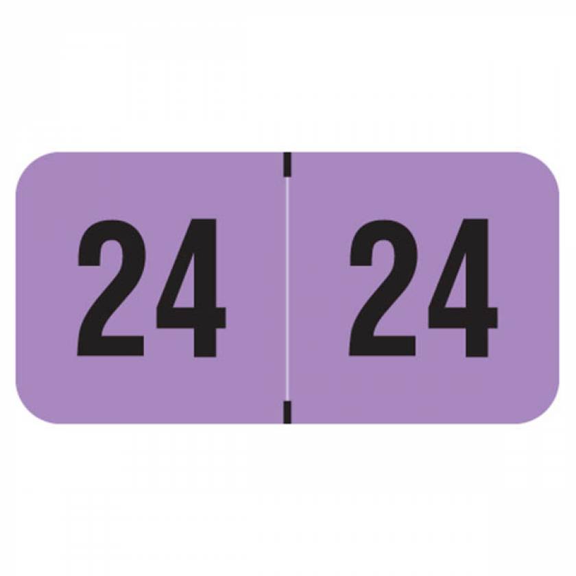 Arden label FVYM-24-T4 2024 Year Labels - PMA Fluorescent Violet - Size 3/4" H x 1 1/2" W
