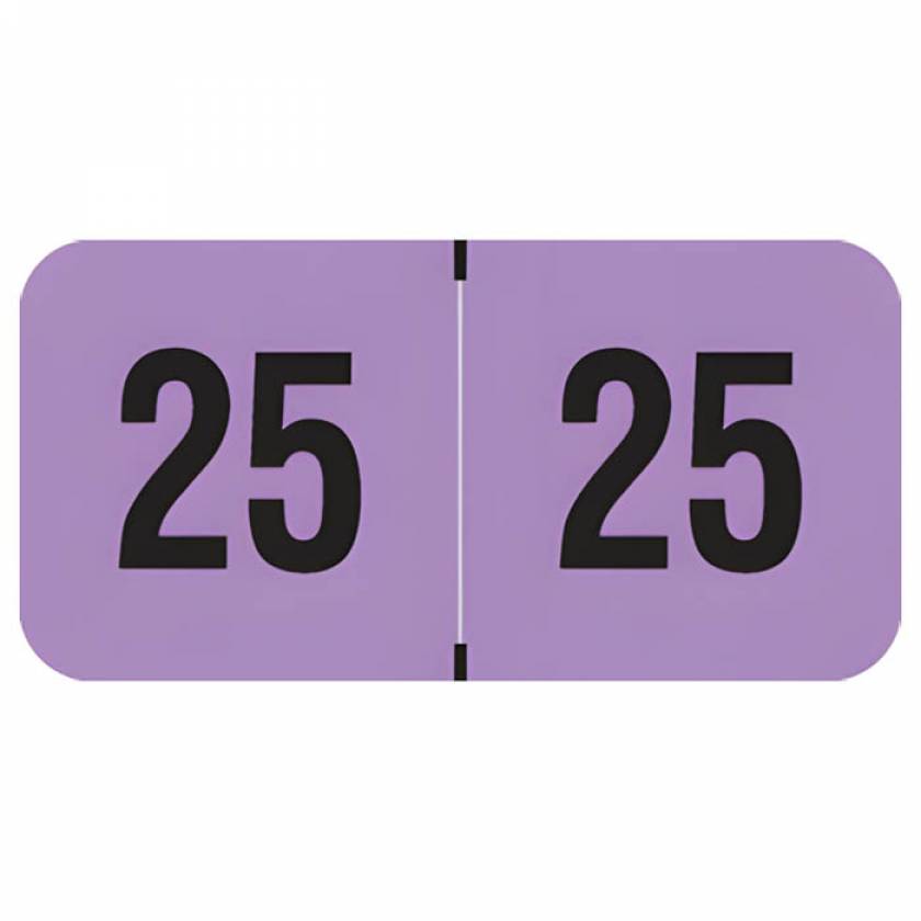 Arden Label FVYM-25-T4 PMA Fluorescent Violet 2025 Year Labels - Size 3/4" H x 1 1/2" W