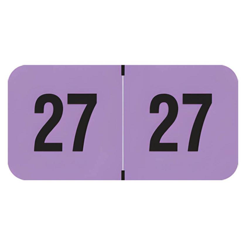 Arden Label FVYM-27-T4 PMA Fluorescent Violet 2027 Year Labels - Size 3/4" H x 1 1/2" W
