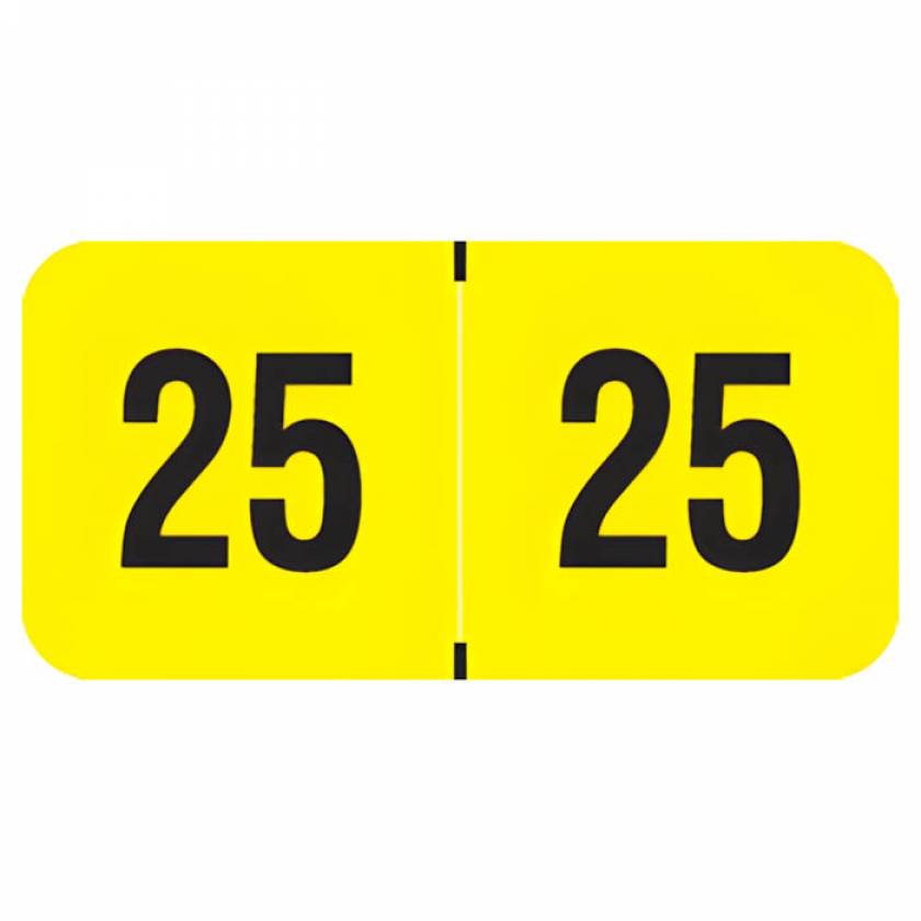 Arden Label FYYM-25-T4 PMA Fluorescent Yello 2025 Year Labels - Size 3/4" H x 1 1/2" W