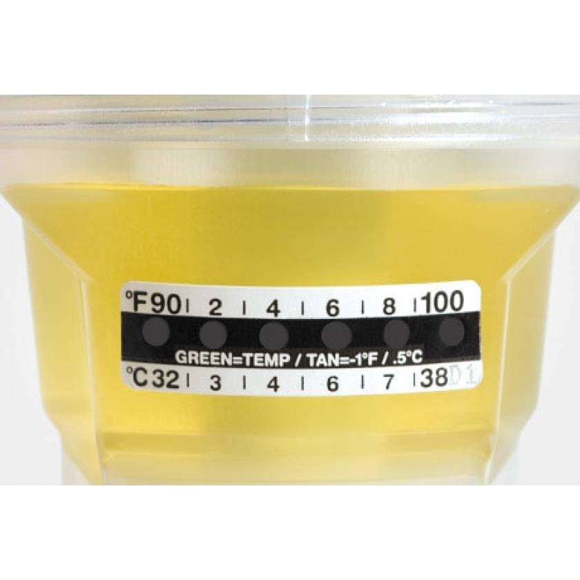 Liquid Crystal Temperature Strip for Urine Collection Containers Globe