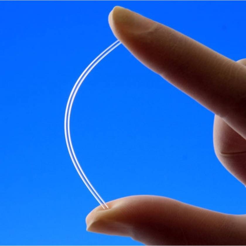 MicroHematocrit Capillary Tubes Plastic Globe Scientific