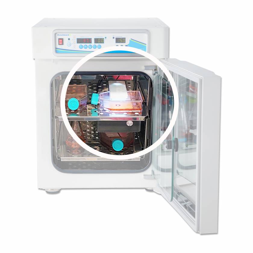 Benchmark Scientific H3565-45-LCI IncuView™ Integrated Microscope Shelf for SureTherm™ CO2 Incubator, 45 Liter (Incubator and Laboratory Vessels are Sold Separately)