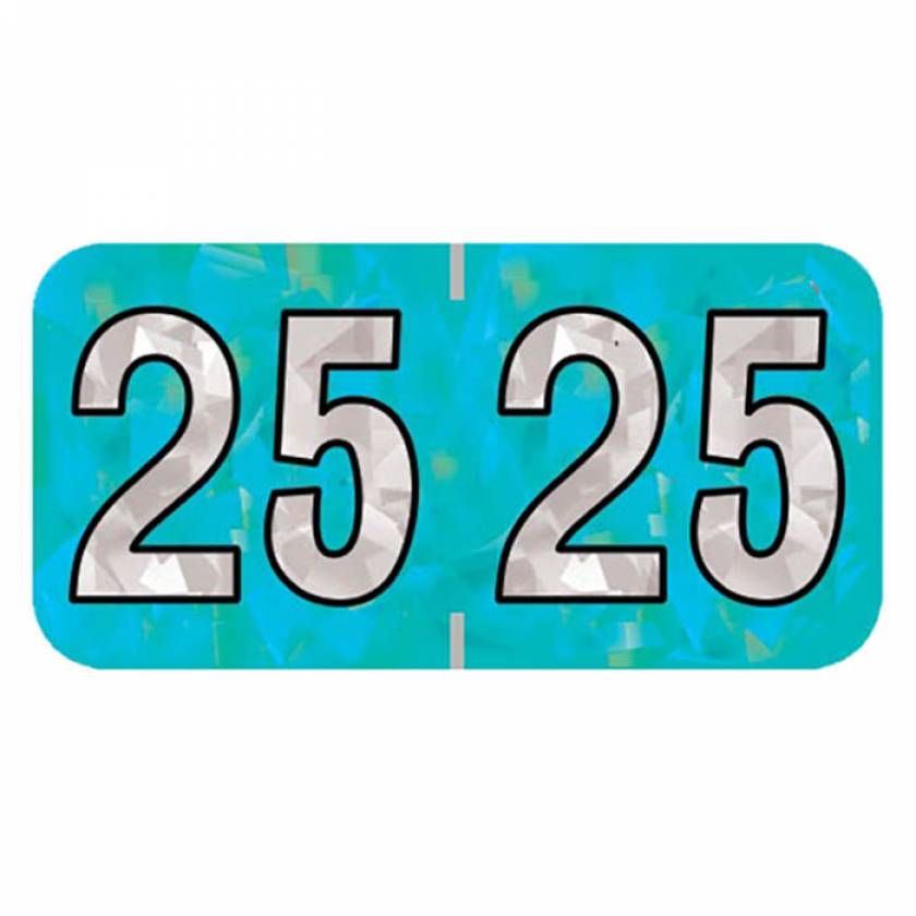 Arden Label HAYM-25-T4 PMA Holographic Aqua 2025 Year Labels - Size 3/4" H x 1 1/2" W