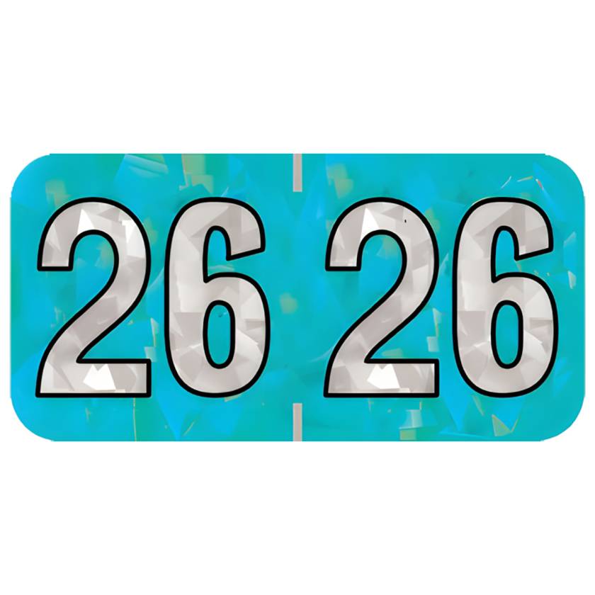 Arden Label HAYM-26-T4 PMA Holographic Aqua 2026 Year Labels - Size 3/4" H x 1 1/2" W