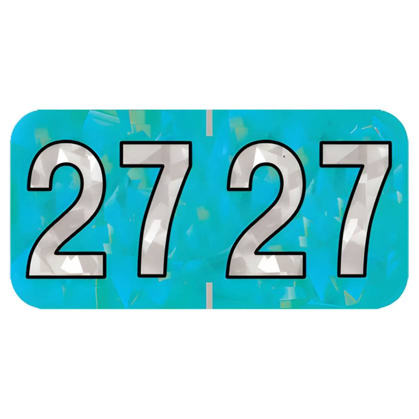 Arden Label HAYM-27-T4 PMA Holographic Aqua 2027 Year Labels - Size 3/4" H x 1 1/2" W