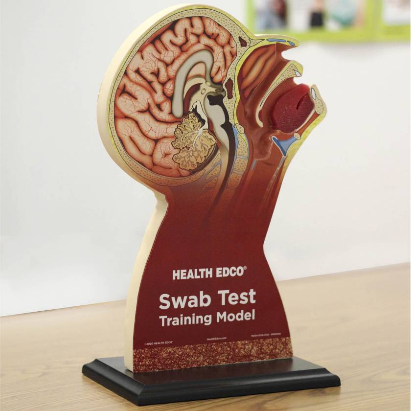 Swab Test Training Model