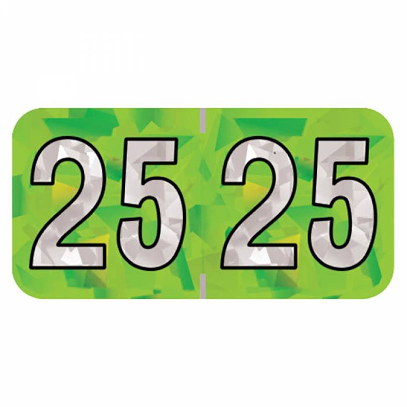 Arden Label HLYM-25-T4 PMA Holographic Lime 2025 Year Labels - Size 3/4" H x 1 1/2" W