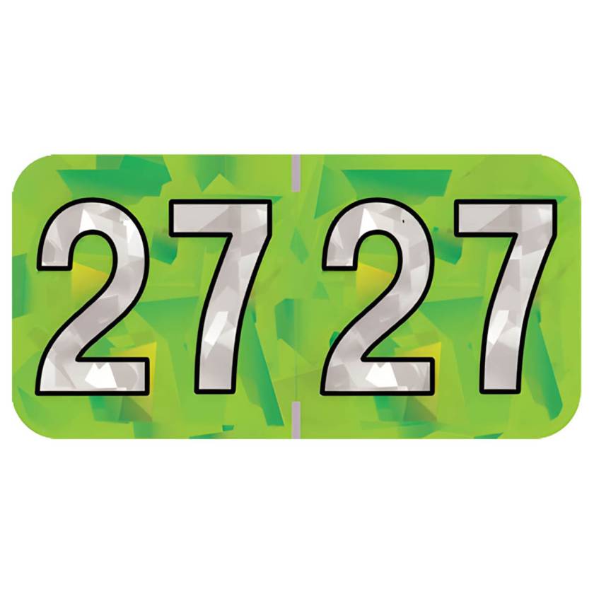 Arden Label HLYM-27-T4 PMA Holographic Lime 2027 Year Labels - Size 3/4" H x 1 1/2" W