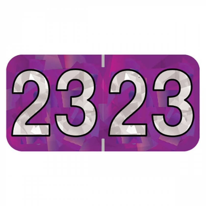2023 Year Labels - Holographic Purple - Size 3/4" H x 1 1/2" W