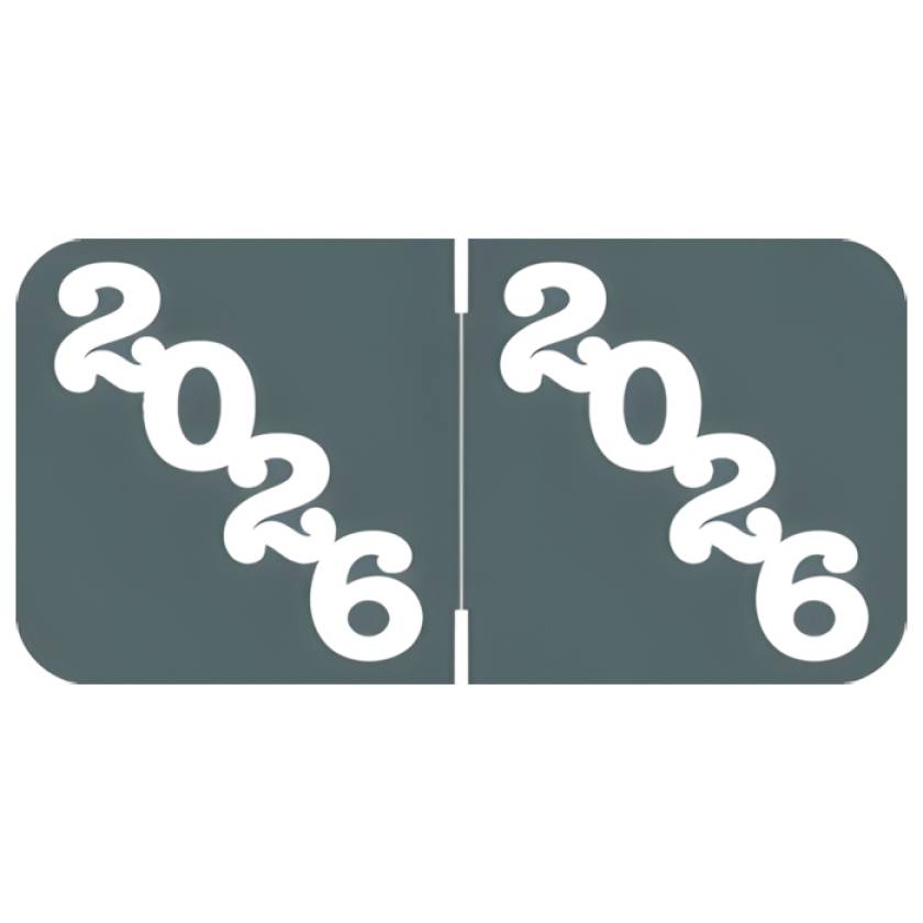 Arden Label JPYM-26-T4 Jeter Compatible JPYM Series 2026 Year Labels - Size 3/4" H x 1 1/2" W