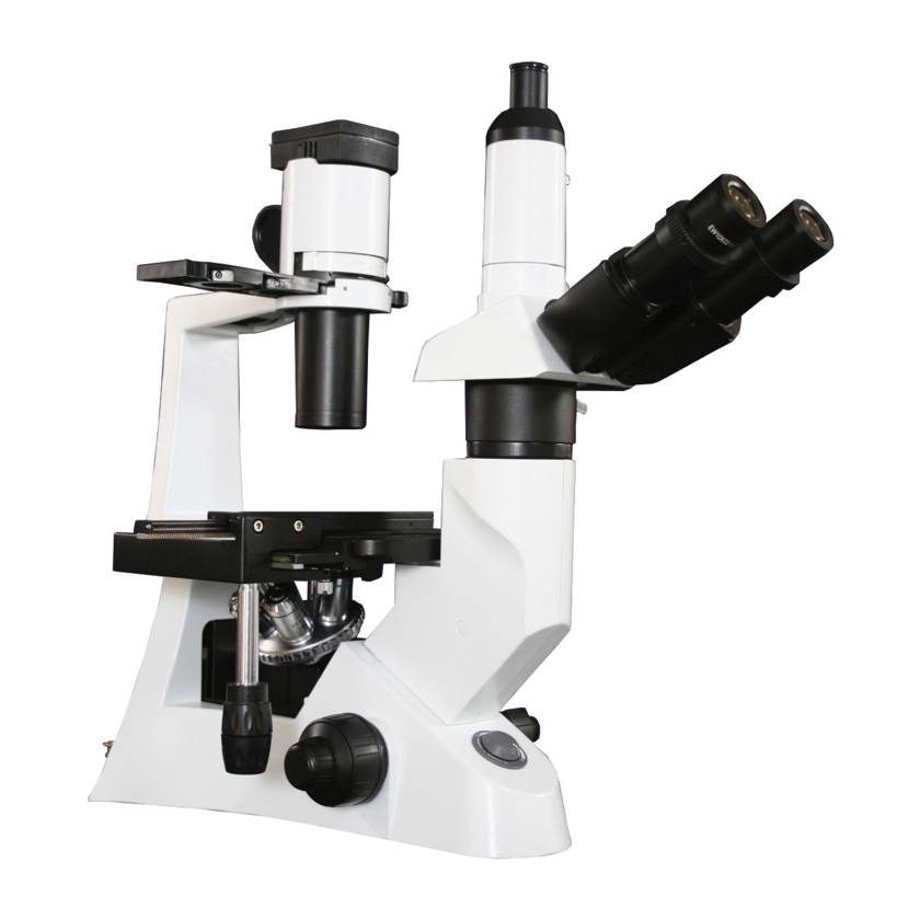 LW Scientific L1M-T04A-DPH3 Infinity Trinocular Inverted Microscope