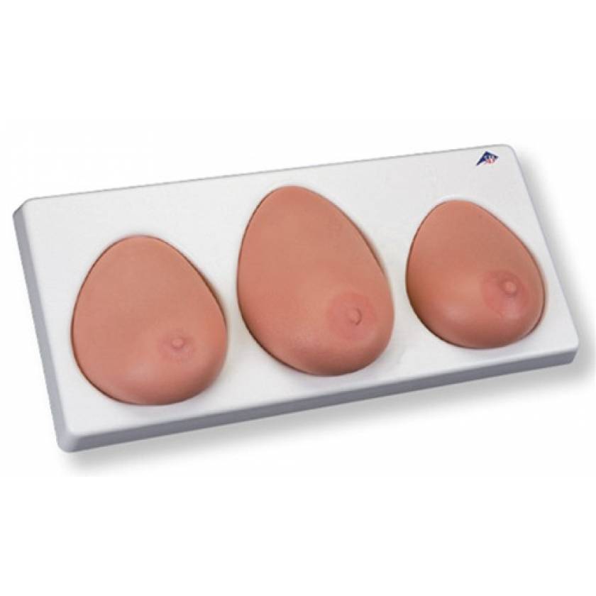 Breast Self-Exam Model 3-Piece