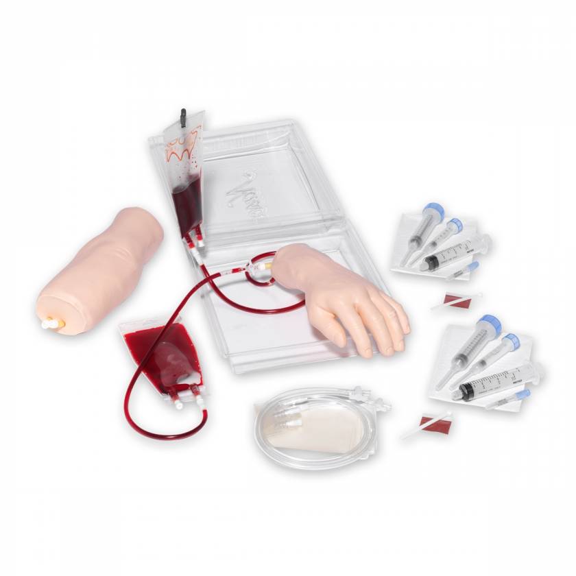 Life/form Portable IV Arm and Hand Trainers