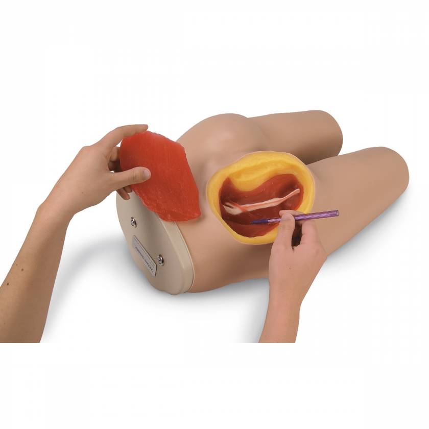 Life/form Intramuscular Injection Simulator