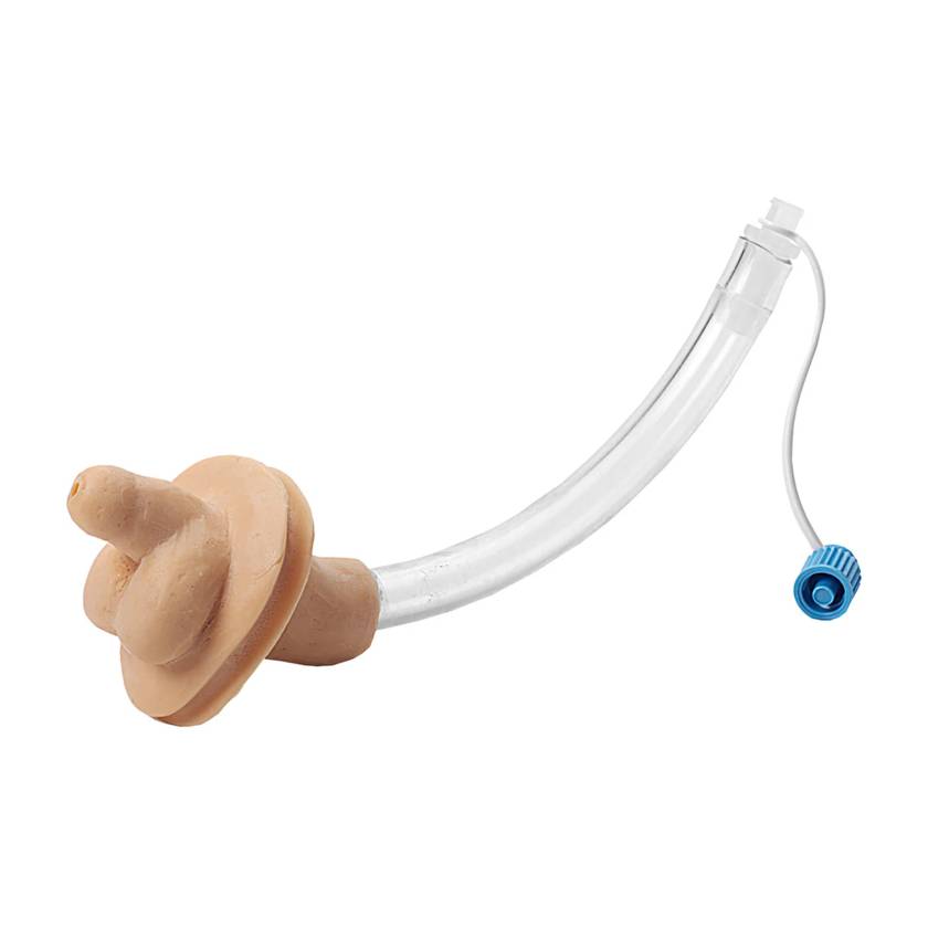 Nasco LF01035B Replacement Male Genital Insert for Infant Male and Female Catheterization Trainer