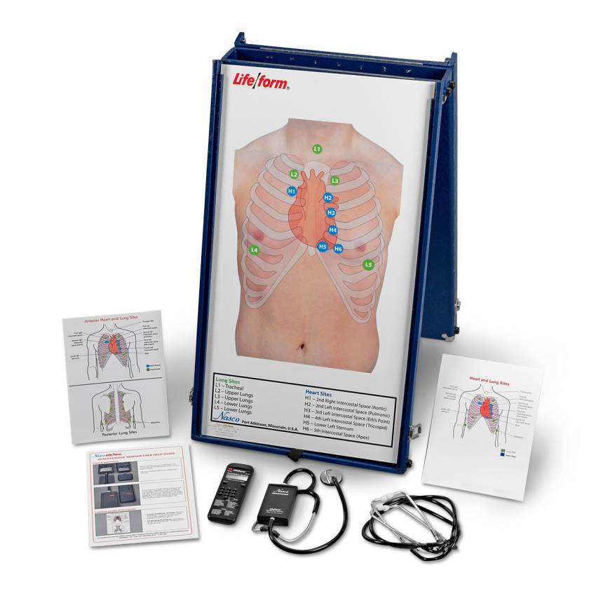 Life/form Anterior Auscultation Practice Board with Case and SmartScope