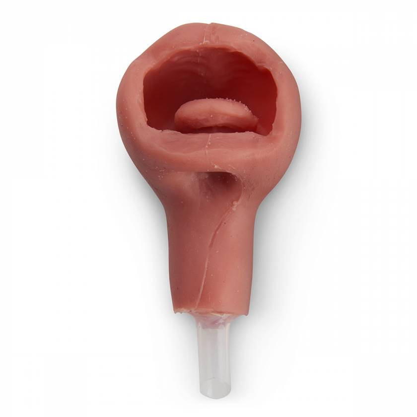 Life/form Micro-Preemie Simulator - Replacement Airway