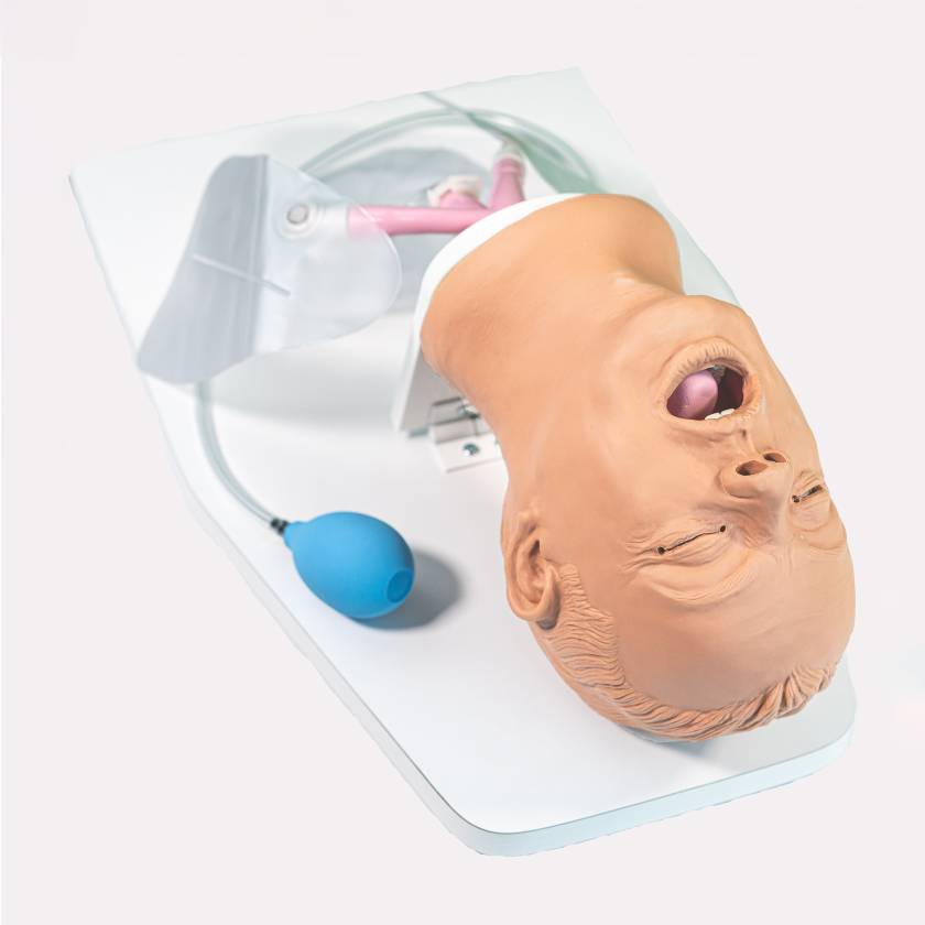 Nasco LF03550 Life/form Airway Larry Adult Airway Management Trainer 2.0 - Light Skin Tone