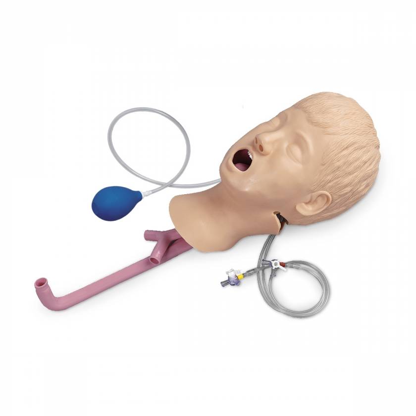 Nasco LF03593 Life/form Advanced Child Airway Management Trainer, Head Only
