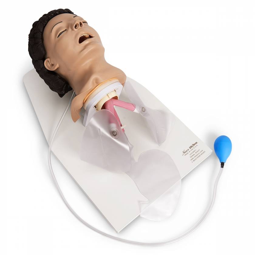 Nasco LF03601 Life/form Adult Airway Management Trainer with Stand