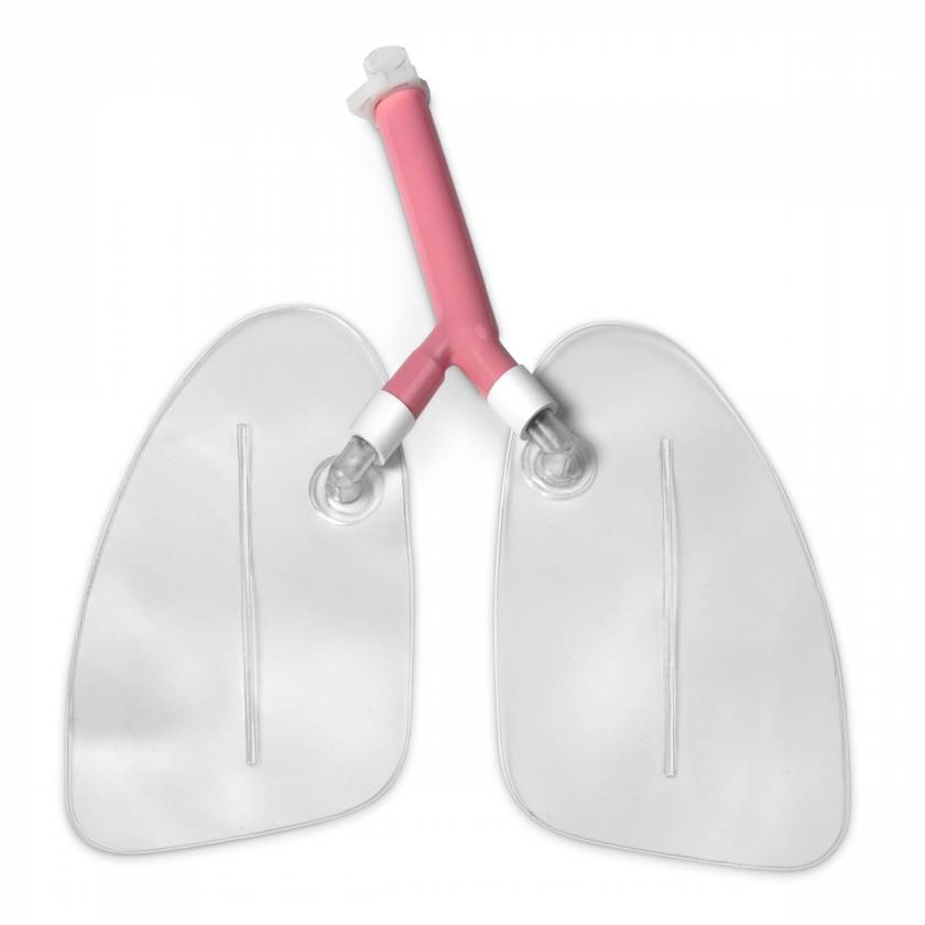Nasco LF03605 Replacement Lungs for Life/form Airway Larry Airway Management Trainer Manikins