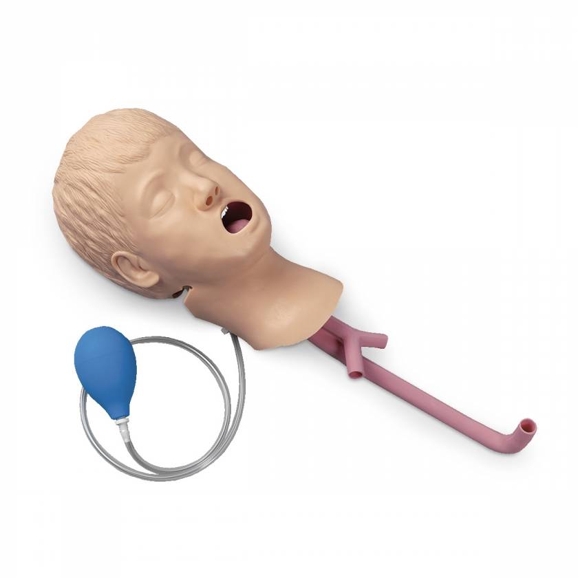 Nasco LF03608 Life/form Child Airway Management Trainer, Head Only