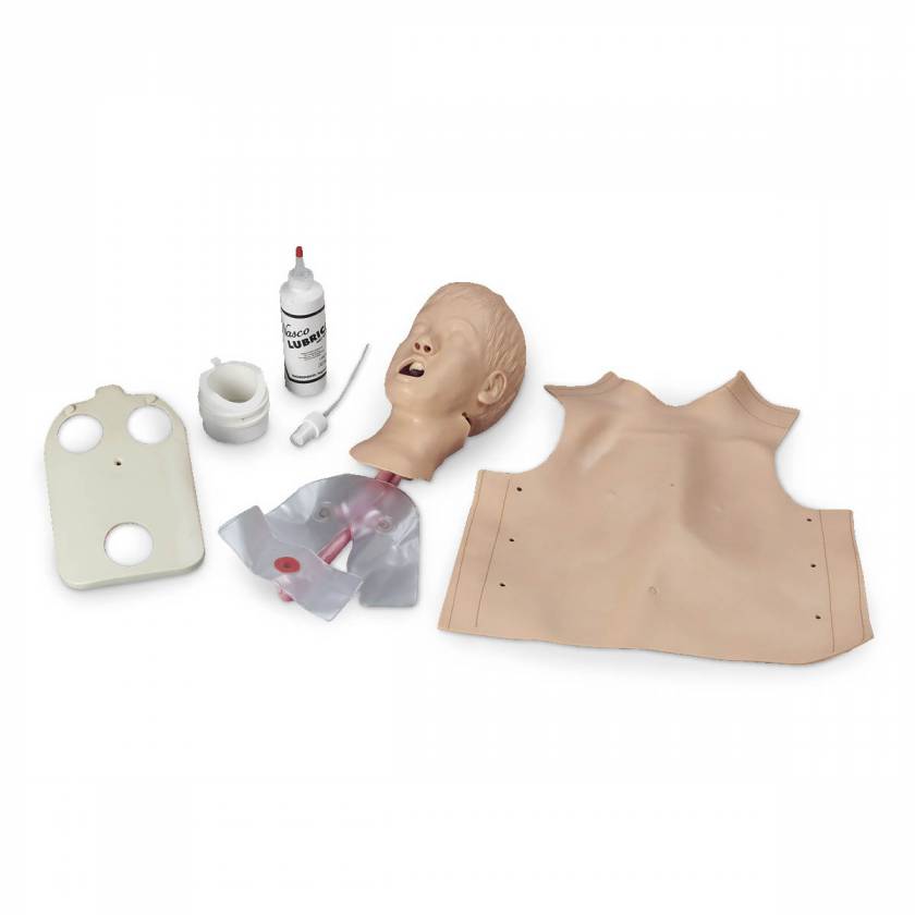Nasco LF03610 Life/form Child Airway Management Trainer Head with Lungs and Stomach