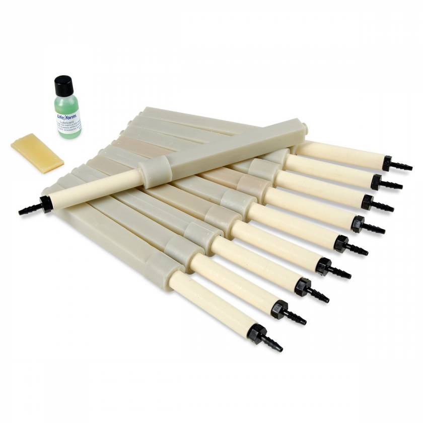Nasco LF036184 Life/form Intraosseous Replacement Bones - Pack of 10