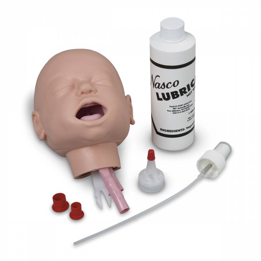 Nasco LF03621 Life/form Infant Airway Management Trainer Head