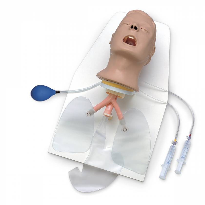 Nasco LF03685 Life/form Advanced Airway Larry Trainer Head with Stand