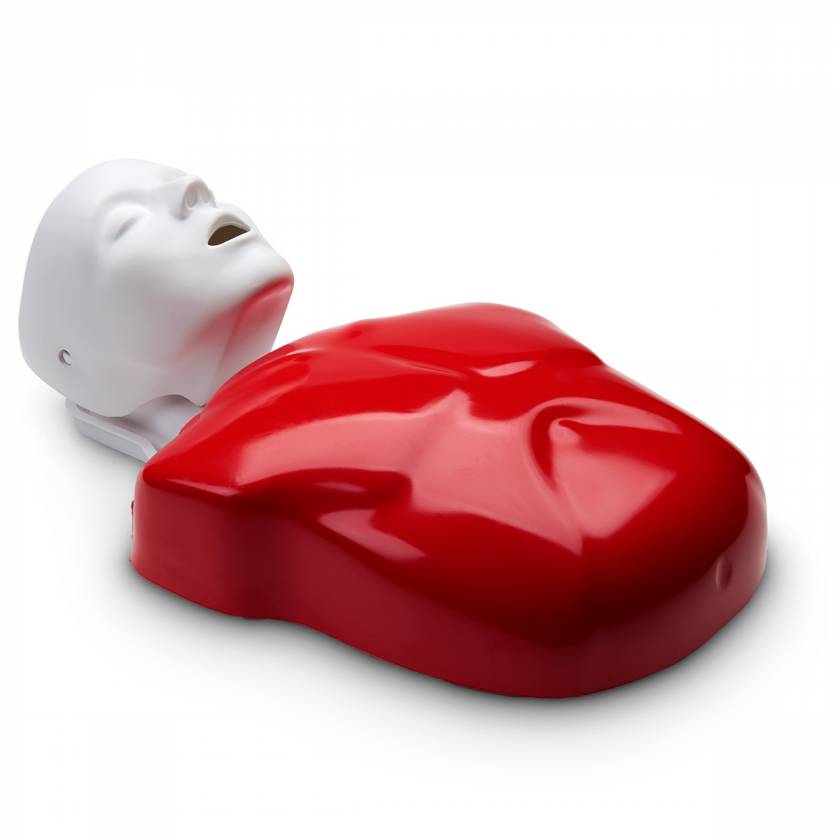 Basic Buddy Single CPR Manikin