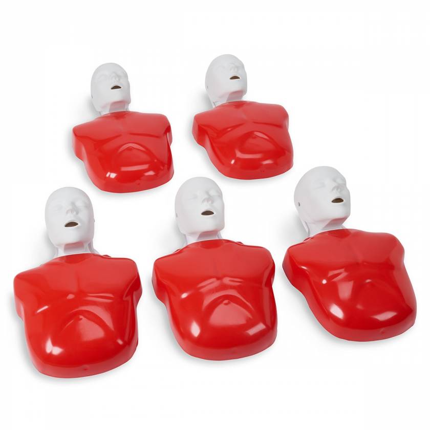 Basic Buddy CPR Manikin - Pack of 5