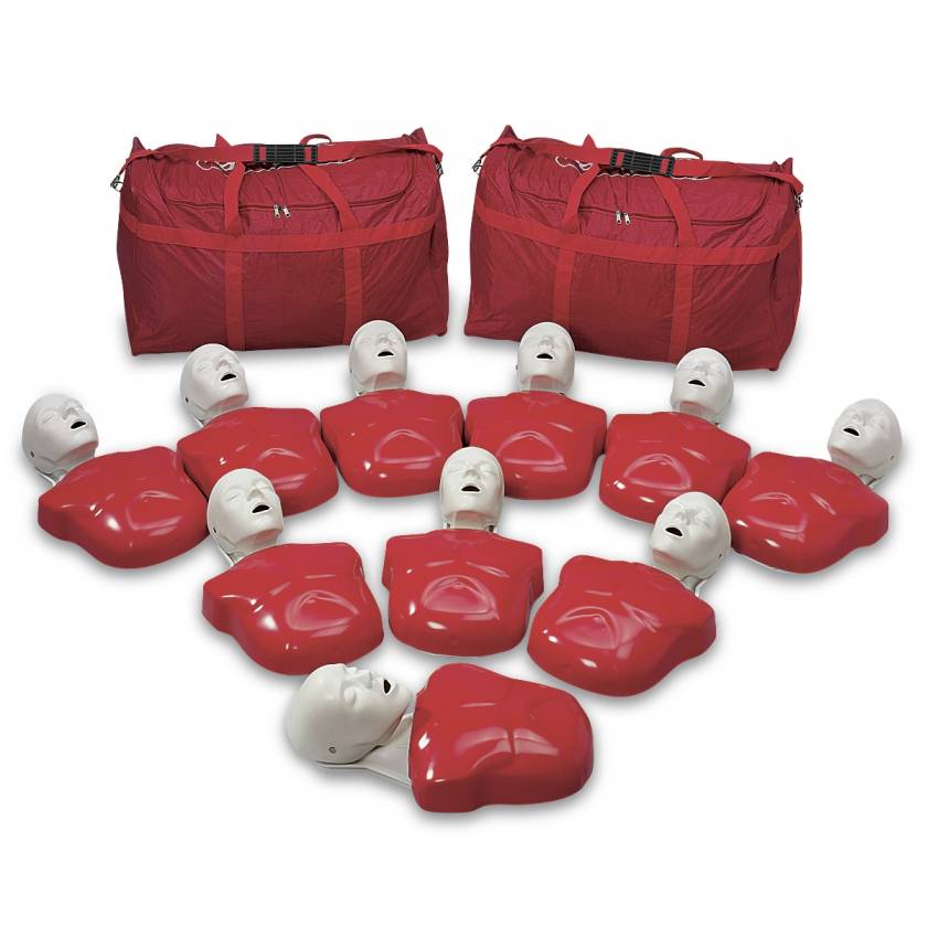 Basic Buddy CPR Manikin - Pack of 10