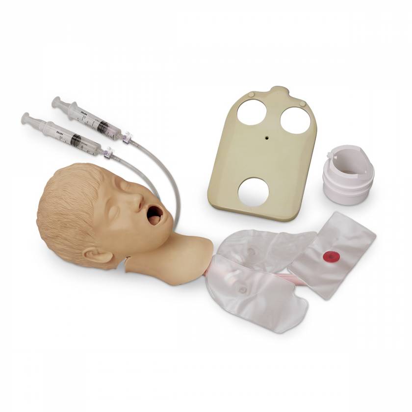 Nasco LF03761 Life/form Advanced Child Airway Management Trainer Head with Lungs and Stomach