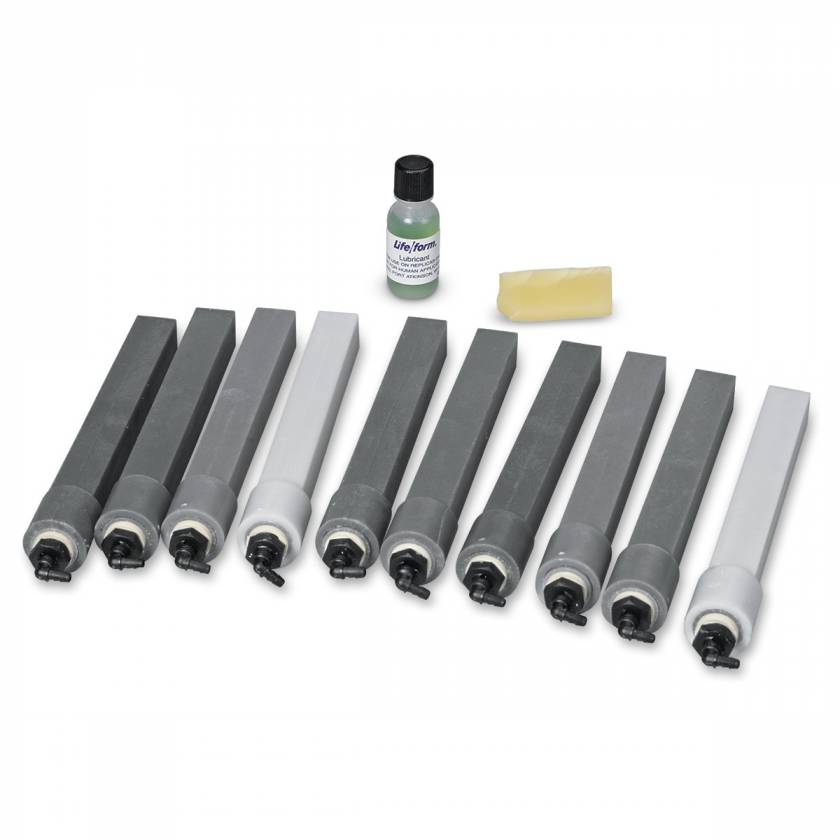 Nasco LF03831 Replacement Adult I/O Bones - Set of 10