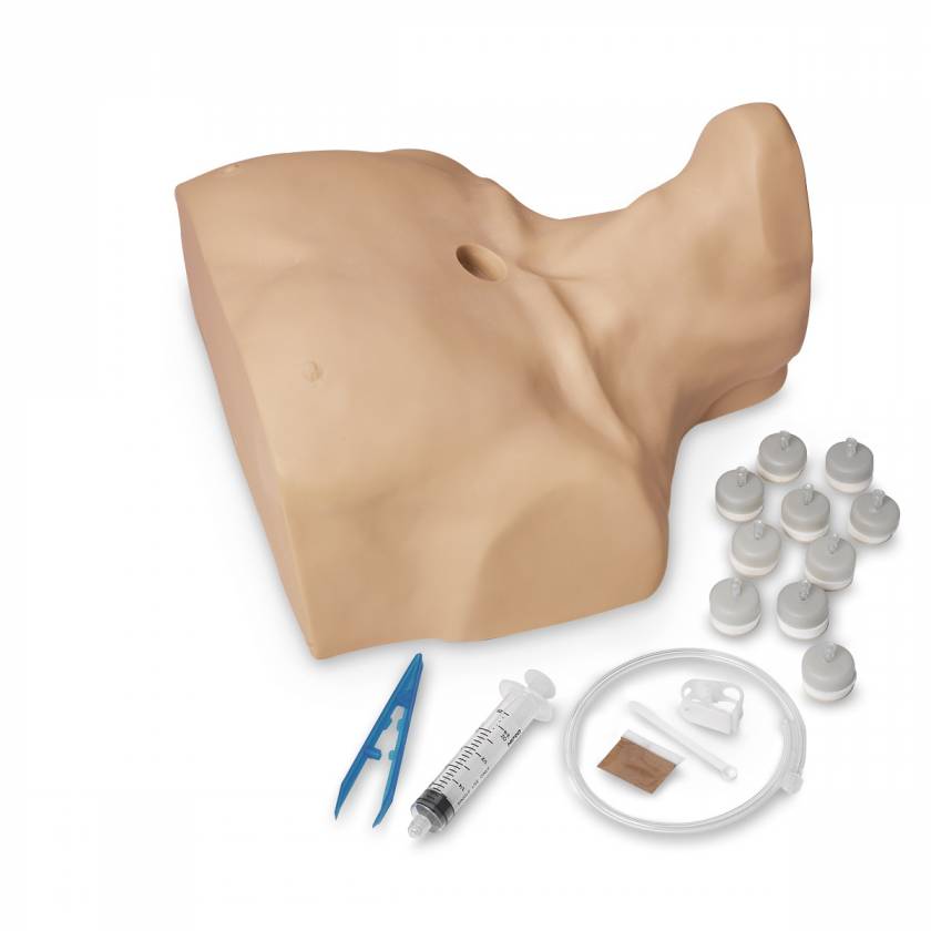 Life/form Adult Sternal Intraosseous Infusion Simulator