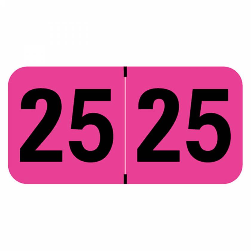 Arden Label MAYM-25-T4 Medical Arts Press Compatible MAYM Series 2025 Year Labels - Size 3/4" H x 1 1/2" W