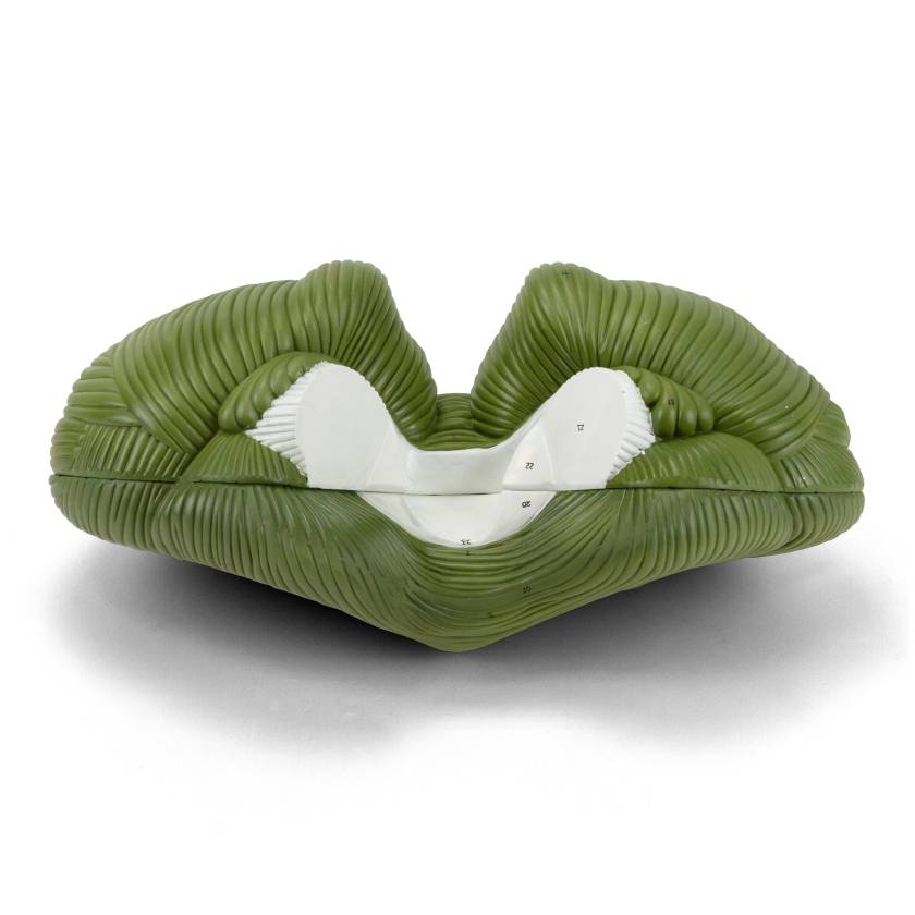 Nasco MG21715 Cerebellum Model, 4x Enlarged, 2 Parts - Angle 1