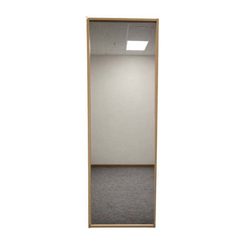 Pivotal Health Solutions MI-2000 Full-Length Wall Mount Mirror