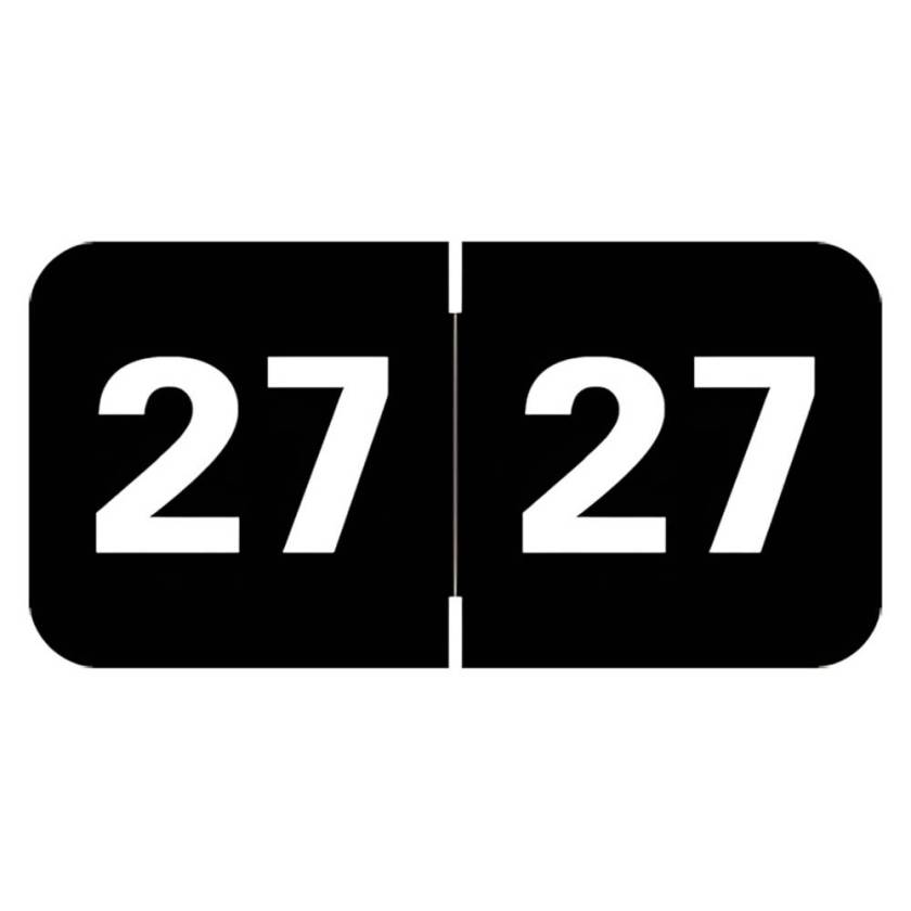 Arden Label MJYM-27-T4 Medical Arts Press Compatible MJYM Series 2027 Year Labels - Size 3/4" H x 1 1/2" W