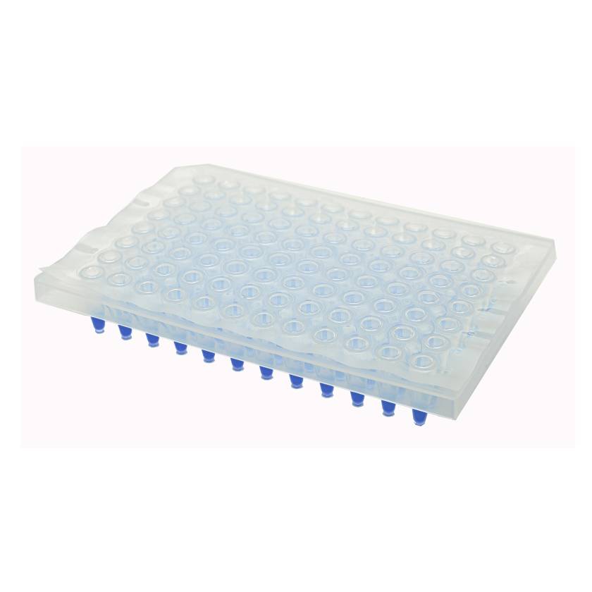Accuris MS1000-PCR1 Optically Clear Heat Sealing Film for qPCR - Peelable (Please Note: The Plate is Not Included)