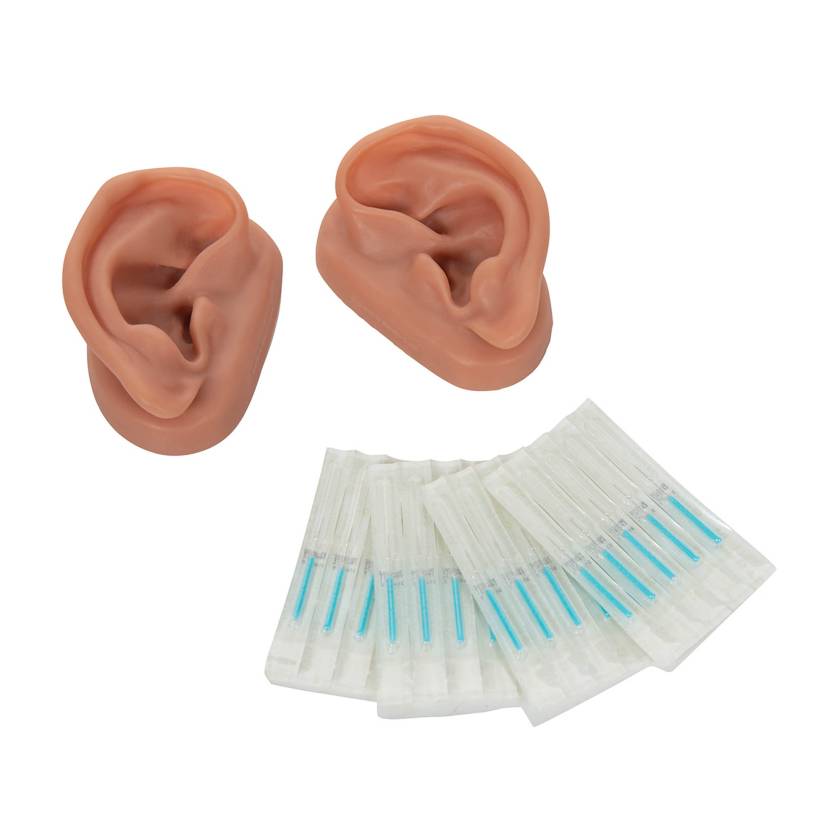 3B Scientific N16 Acupuncture Ear Set for 10 Students