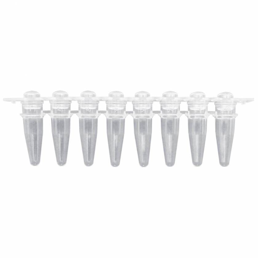 P3020 PureAmp 0.2mL PCR 8-Tube Strips with Separate Domed Cap Strips