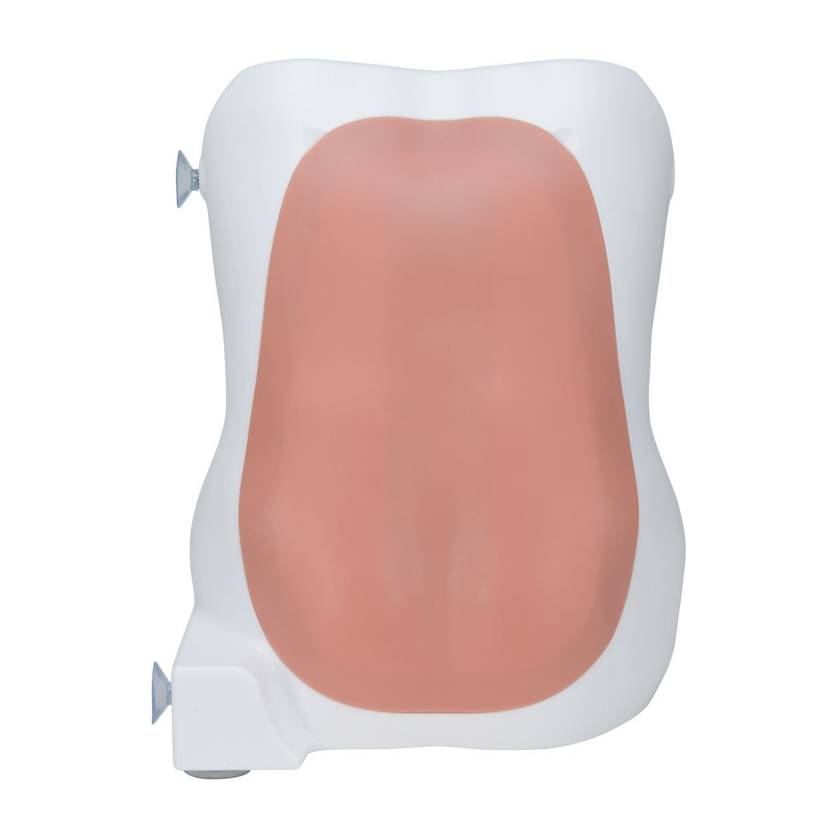 3B Scientific P61 Epidural and Spinal Injection Trainer