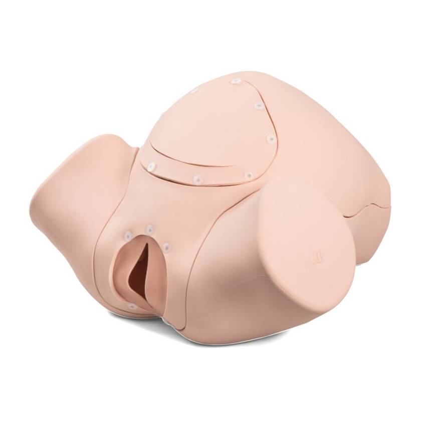 3B Scientific P90B Birthing Simulator Basic - Light Skin Tone