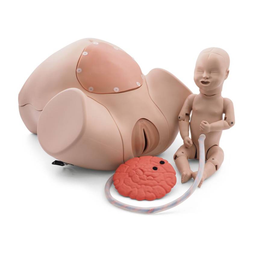 3B Scientific P90P Birthing Simulator PRO - Light Skin Tone