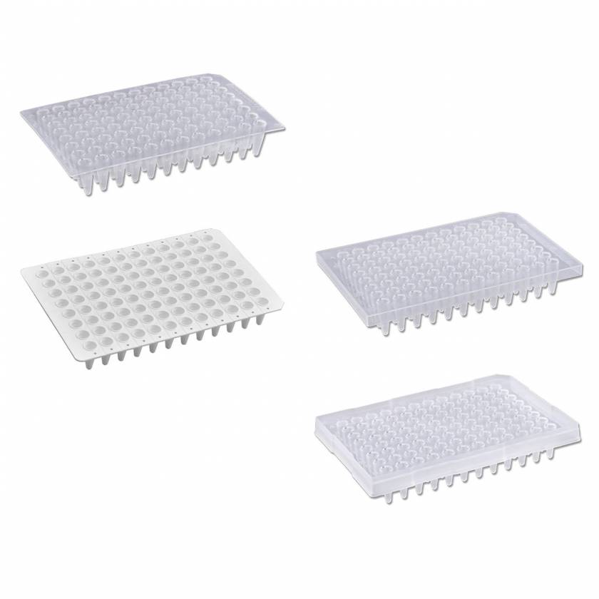 MTC Bio PureAmp 96-Well x 0.2mL PCR Plates