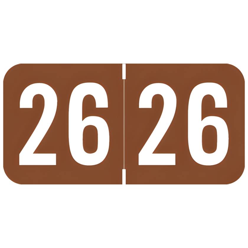 Arden Label PBYM-26-T4 POS Compatible PBYM Series 2026 Year Labels - Size 3/4" H x 1 1/2" W