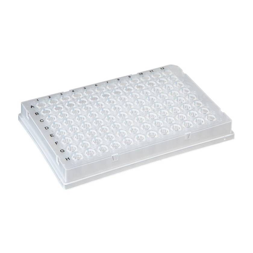 Globe Scientific PCR-FS-02 0.2 mL 96-Well Low Profile PCR Plate, Full Skirt - Clear